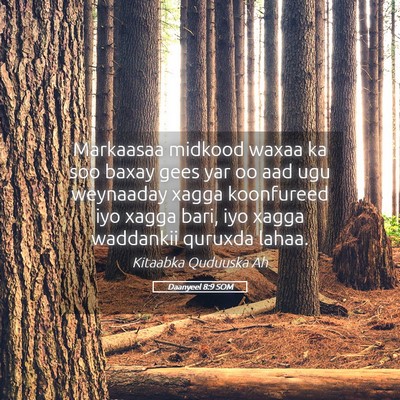 Picture 05 - Daanyeel 8:9 SOM - Markaasaa midkood waxaa ka soo baxay gees yar oo - Bible Verse Picture