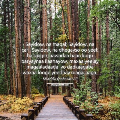 Picture 05 - Daanyeel 9:19 SOM - Sayidow, na maqal; Sayidow, na cafi; Sayidow, na - Bible Verse Picture