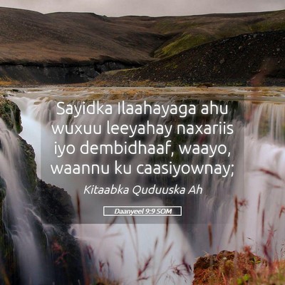 Picture 05 - Daanyeel 9:9 SOM - Sayidka Ilaahayaga ahu wuxuu leeyahay naxariis - Bible Verse Picture