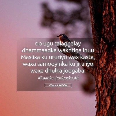 Picture 05 - Efesos 1:10 SOM - oo ugu talaggalay dhammaadka wakhtiga inuu - Bible Verse Picture