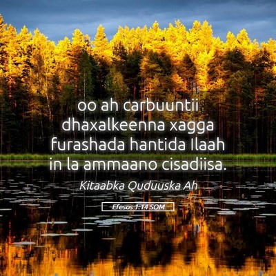 Picture 05 - Efesos 1:14 SOM - oo ah carbuuntii dhaxalkeenna xagga furashada - Bible Verse Picture