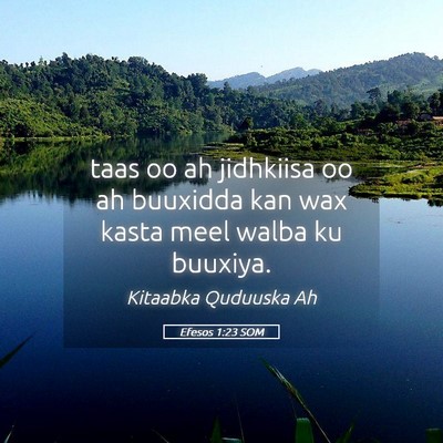 Picture 05 - Efesos 1:23 SOM - taas oo ah jidhkiisa oo ah buuxidda kan wax kasta - Bible Verse Picture