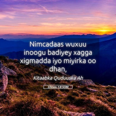 Picture 05 - Efesos 1:8 SOM - Nimcadaas wuxuu inoogu badiyey xagga xigmadda iyo - Bible Verse Picture