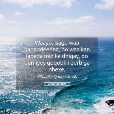 Picture 05 - Efesos 2:14 SOM - Waayo, isagu waa nabaddeenna, oo waa kan labada - Bible Verse Picture