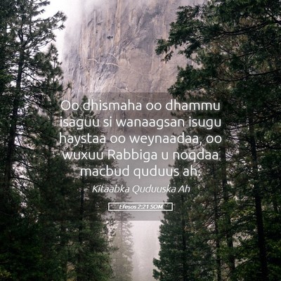 Picture 05 - Efesos 2:21 SOM - Oo dhismaha oo dhammu isaguu si wanaagsan isugu - Bible Verse Picture