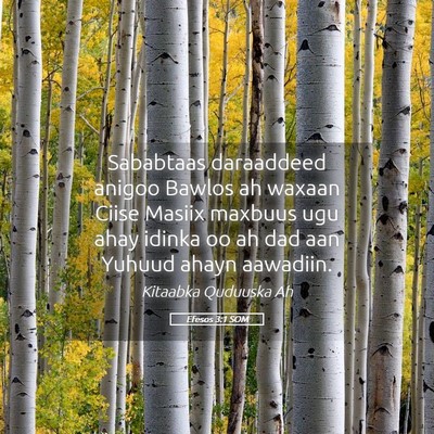 Picture 05 - Efesos 3:1 SOM - Sababtaas daraaddeed anigoo Bawlos ah waxaan - Bible Verse Picture