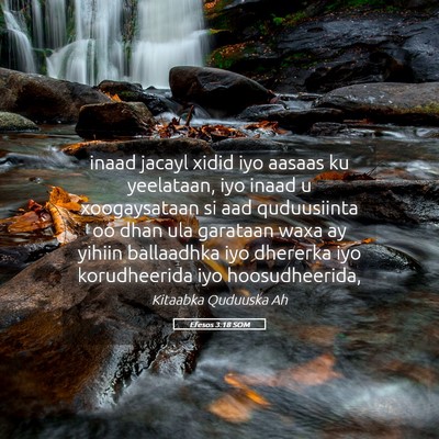 Picture 05 - Efesos 3:18 SOM - inaad jacayl xidid iyo aasaas ku yeelataan, iyo - Bible Verse Picture