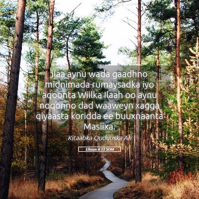 Picture 05 - Efesos 4:13 SOM - ilaa aynu wada gaadhno midnimada rumaysadka iyo - Bible Verse Picture