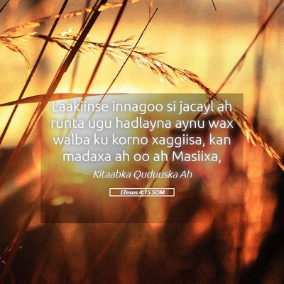 Picture 05 - Efesos 4:15 SOM - Laakiinse innagoo si jacayl ah runta ugu hadlayna - Bible Verse Picture
