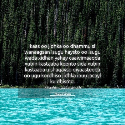 Picture 05 - Efesos 4:16 SOM - kaas oo jidhka oo dhammu si wanaagsan isugu - Bible Verse Picture
