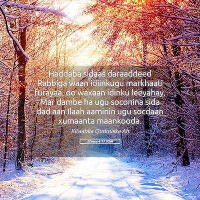 Picture 05 - Efesos 4:17 SOM - Haddaba sidaas daraaddeed Rabbiga waan idiinkugu - Bible Verse Picture
