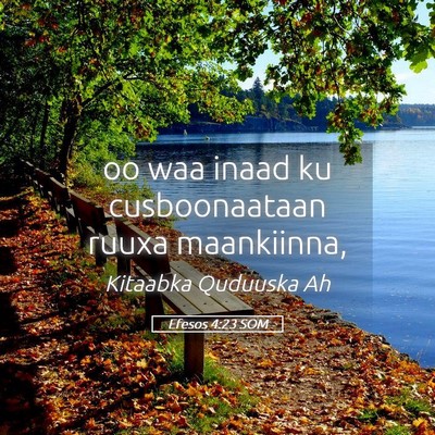 Picture 05 - Efesos 4:23 SOM - oo waa inaad ku cusboonaataan ruuxa - Bible Verse Picture