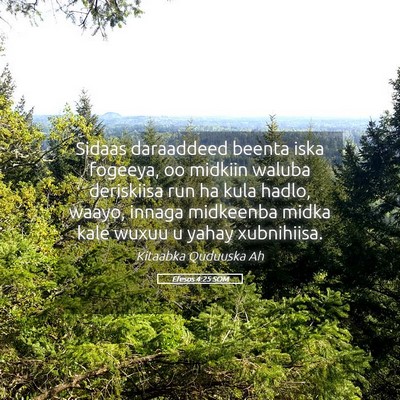 Picture 05 - Efesos 4:25 SOM - Sidaas daraaddeed beenta iska fogeeya, oo midkiin - Bible Verse Picture