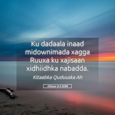 Picture 05 - Efesos 4:3 SOM - Ku dadaala inaad midownimada xagga Ruuxa ku - Bible Verse Picture