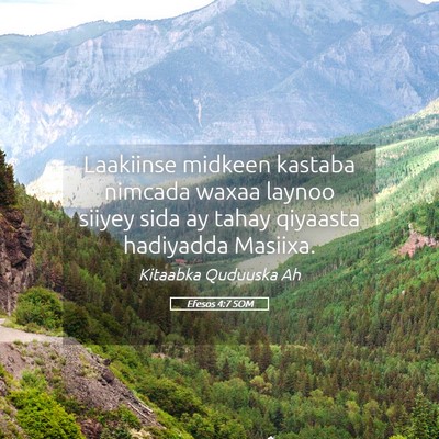 Picture 05 - Efesos 4:7 SOM - Laakiinse midkeen kastaba nimcada waxaa laynoo - Bible Verse Picture