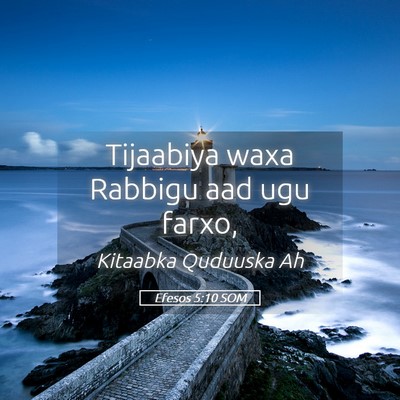 Picture 05 - Efesos 5:10 SOM - Tijaabiya waxa Rabbigu aad ugu - Bible Verse Picture