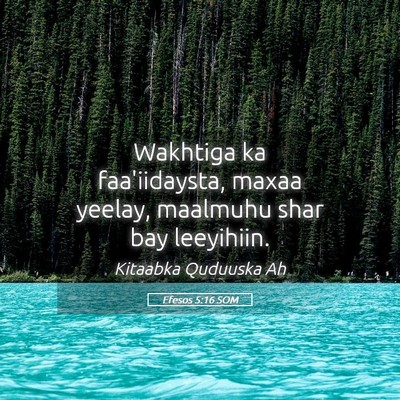 Picture 05 - Efesos 5:16 SOM - Wakhtiga ka faa'iidaysta, maxaa yeelay, maalmuhu - Bible Verse Picture