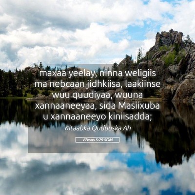 Picture 05 - Efesos 5:29 SOM - maxaa yeelay, ninna weligiis ma nebcaan - Bible Verse Picture