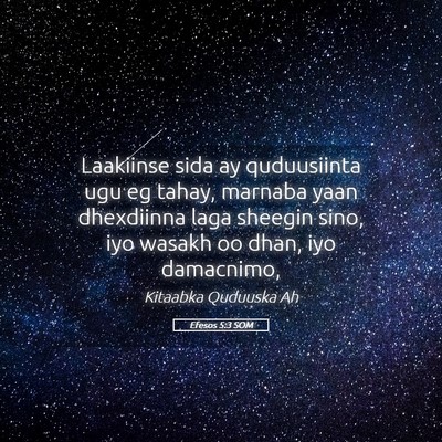 Picture 05 - Efesos 5:3 SOM - Laakiinse sida ay quduusiinta ugu eg tahay, - Bible Verse Picture