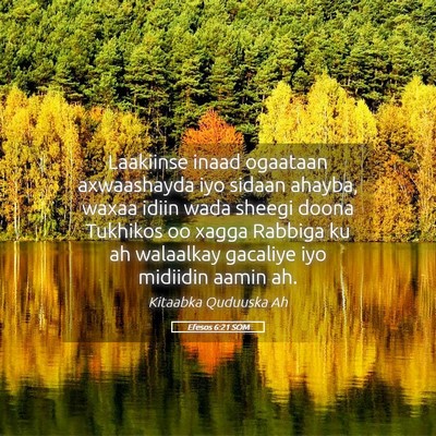 Picture 05 - Efesos 6:21 SOM - Laakiinse inaad ogaataan axwaashayda iyo sidaan - Bible Verse Picture