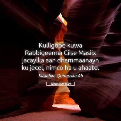 Picture 05 - Efesos 6:24 SOM - Kulligood kuwa Rabbigeenna Ciise Masiix jacaylka - Bible Verse Picture