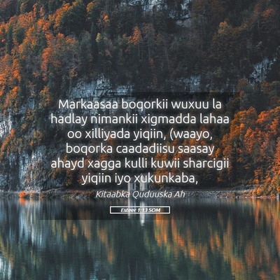 Picture 05 - Esteer 1:13 SOM - Markaasaa boqorkii wuxuu la hadlay nimankii - Bible Verse Picture