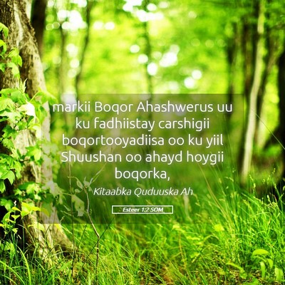 Picture 05 - Esteer 1:2 SOM - markii Boqor Ahashwerus uu ku fadhiistay - Bible Verse Picture