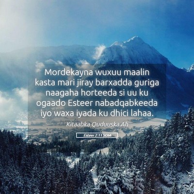 Picture 05 - Esteer 2:11 SOM - Mordekayna wuxuu maalin kasta mari jiray barxadda - Bible Verse Picture