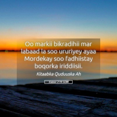 Picture 05 - Esteer 2:19 SOM - Oo markii bikradihii mar labaad la soo ururiyey - Bible Verse Picture