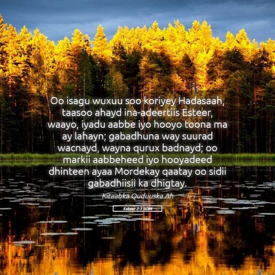 Picture 05 - Esteer 2:7 SOM - Oo isagu wuxuu soo koriyey Hadasaah, taasoo ahayd - Bible Verse Picture