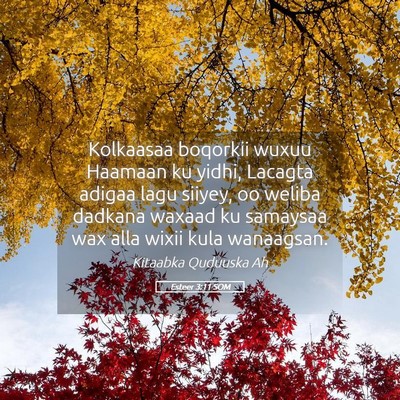 Picture 05 - Esteer 3:11 SOM - Kolkaasaa boqorkii wuxuu Haamaan ku yidhi, - Bible Verse Picture