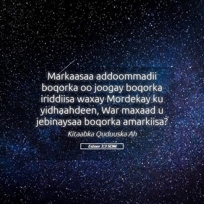 Picture 05 - Esteer 3:3 SOM - Markaasaa addoommadii boqorka oo joogay boqorka - Bible Verse Picture