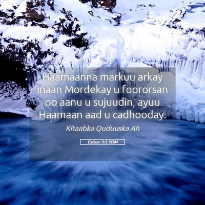 Picture 05 - Esteer 3:5 SOM - Haamaanna markuu arkay inaan Mordekay u foororsan - Bible Verse Picture