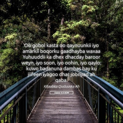 Picture 05 - Esteer 4:3 SOM - Oo gobol kasta oo qaynuunkii iyo amarkii boqorku - Bible Verse Picture