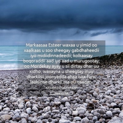 Picture 05 - Esteer 4:4 SOM - Markaasaa Esteer waxaa u yimid oo xaalkaas u soo - Bible Verse Picture