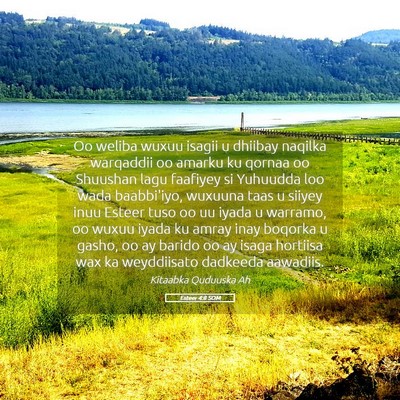 Picture 05 - Esteer 4:8 SOM - Oo weliba wuxuu isagii u dhiibay naqilka - Bible Verse Picture