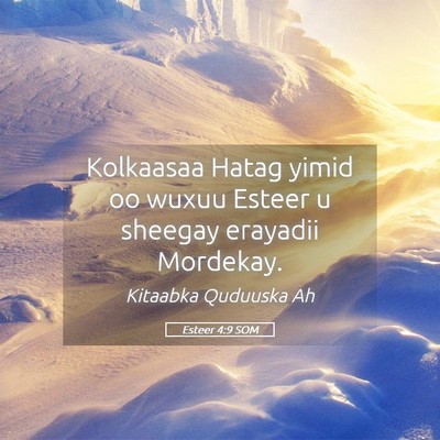 Picture 05 - Esteer 4:9 SOM - Kolkaasaa Hatag yimid oo wuxuu Esteer u sheegay - Bible Verse Picture