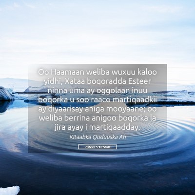 Picture 05 - Esteer 5:12 SOM - Oo Haamaan weliba wuxuu kaloo yidhi, Xataa - Bible Verse Picture