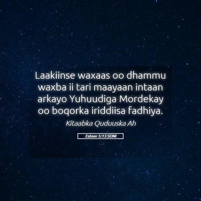 Picture 05 - Esteer 5:13 SOM - Laakiinse waxaas oo dhammu waxba ii tari maayaan - Bible Verse Picture