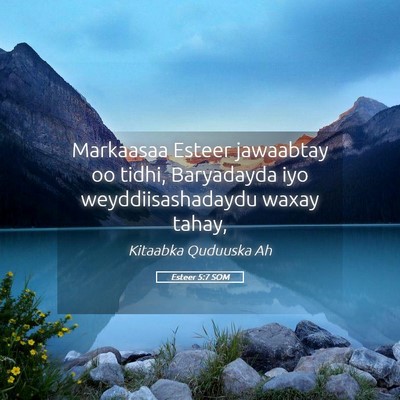 Picture 05 - Esteer 5:7 SOM - Markaasaa Esteer jawaabtay oo tidhi, Baryadayda - Bible Verse Picture