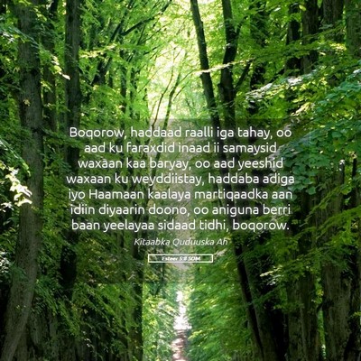 Picture 05 - Esteer 5:8 SOM - Boqorow, haddaad raalli iga tahay, oo aad ku - Bible Verse Picture