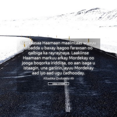 Picture 05 - Esteer 5:9 SOM - Markaasaa Haamaan maalintaas wuxuu dibadda u - Bible Verse Picture