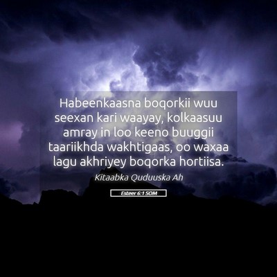 Picture 05 - Esteer 6:1 SOM - Habeenkaasna boqorkii wuu seexan kari waayay, - Bible Verse Picture