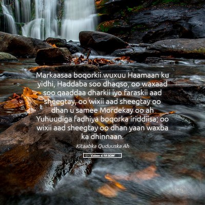 Picture 05 - Esteer 6:10 SOM - Markaasaa boqorkii wuxuu Haamaan ku yidhi, - Bible Verse Picture