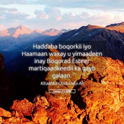 Picture 05 - Esteer 7:1 SOM - Haddaba boqorkii iyo Haamaan waxay u yimaadeen - Bible Verse Picture