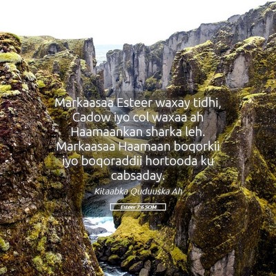 Picture 05 - Esteer 7:6 SOM - Markaasaa Esteer waxay tidhi, Cadow iyo col waxaa - Bible Verse Picture