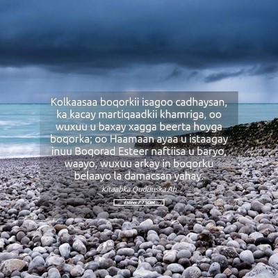 Picture 05 - Esteer 7:7 SOM - Kolkaasaa boqorkii isagoo cadhaysan, ka kacay - Bible Verse Picture