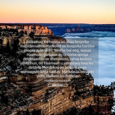 Picture 05 - Esteer 7:9 SOM - Kolkaasaa Xarboona oo ahaa boqorka - Bible Verse Picture