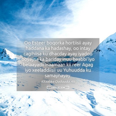 Picture 05 - Esteer 8:3 SOM - Oo Esteer boqorka hortiisii ayay haddana ka - Bible Verse Picture