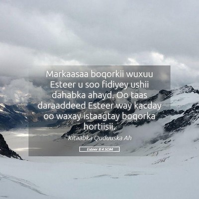 Picture 05 - Esteer 8:4 SOM - Markaasaa boqorkii wuxuu Esteer u soo fidiyey - Bible Verse Picture